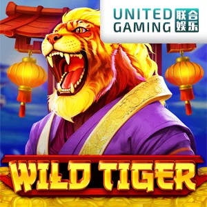 Wild Tiger